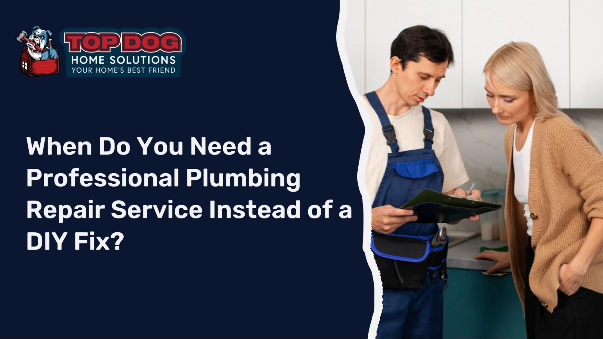 Professional Plumbing Repair Service